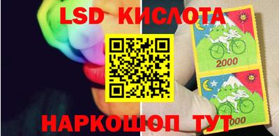 mdma Сланцы