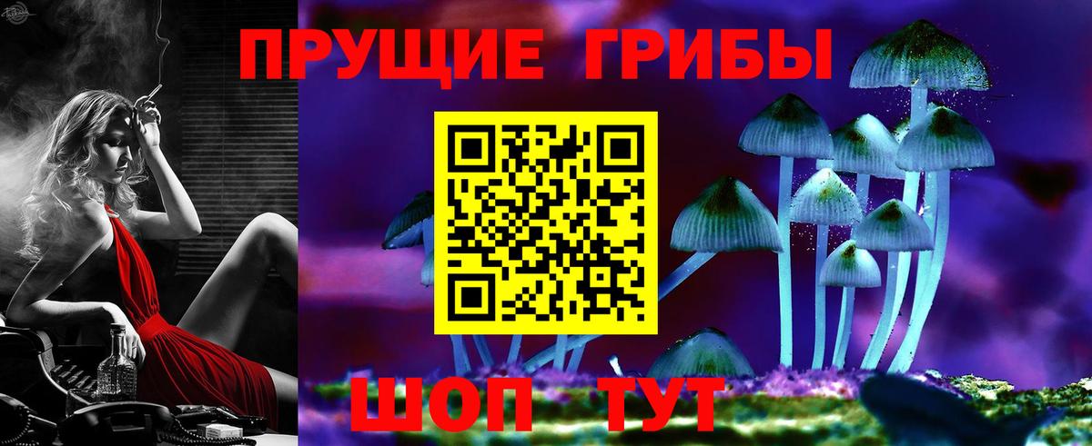 Сафоново  сколько стоит  Вход с VPN  Галлюциногенные грибы прущие грибы  Галлюциногенные грибы прущие грибы 